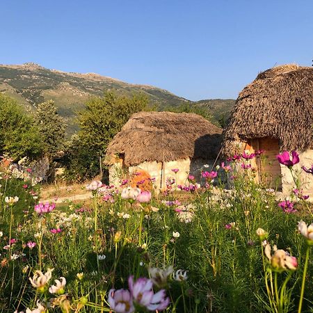 Sofra E Vjeter Sofo Tragjas I Vjeter Hotel Kültér fotó